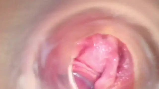 shannon kinne  online show from November 22, 2025, 8:29 pm