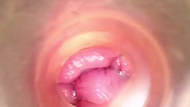 shannon kinne  online show from March 29, 2026, 5:47 pm