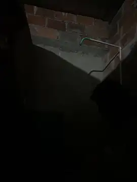 lady and charly online show from February 7, 2026, 11:24 pm