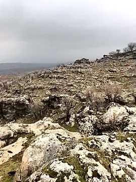 Sert erkek21 ysm online show from February 2, 2026, 10:03 am