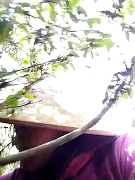 Snapshot of sumaybae chatting on November 28, 2025, 7:08 am sumaybae online show from November 28, 2025, 7:08 am