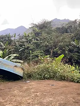 Pii x online show from November 21, 2025, 1:04 am