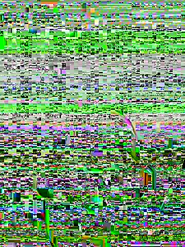 Snapshot of lain213 chatting on October 9, 2025, 5:19 am lain213 online show from October 9, 2025, 5:19 am