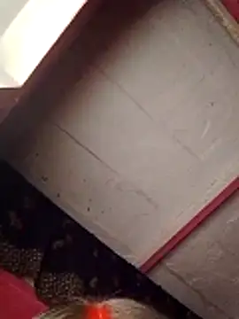 Snapshot of Cr_sonam chatting on November 7, 2025, 11:30 pm Cr sonam online show from November 7, 2025, 11:30 pm