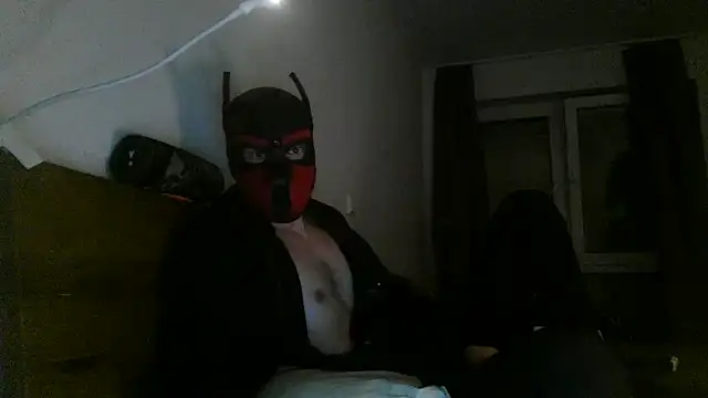 Snapshot of MolleDolle chatting on December 3, 2025, 10:53 pm MolleDolle online show from December 3, 2025, 10:53 pm