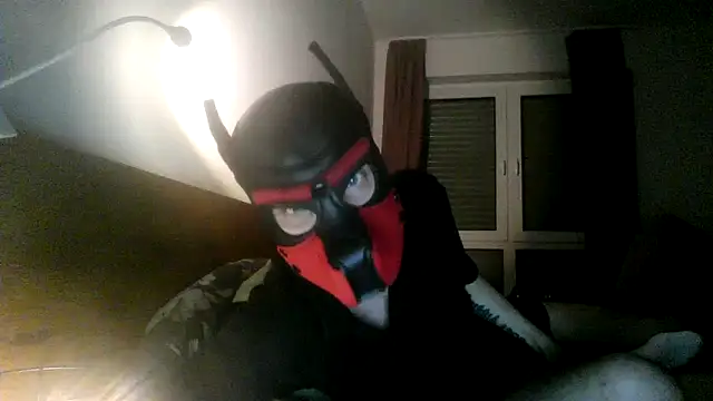 Snapshot of MolleDolle chatting on November 12, 2025, 5:55 am MolleDolle online show from November 12, 2025, 5:55 am