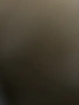 dilscar online show from December 15, 2025, 10:32 am