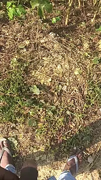 Snapshot of BiggerDickGuy chatting on November 14, 2025, 4:38 am BiggerDickGuy online show from November 14, 2025, 4:38 am