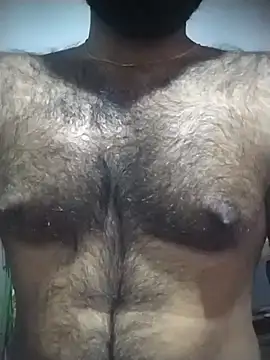 SL BEAR online show from November 12, 2025, 6:23 pm