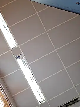 Snapshot of toyboyfin chatting on October 10, 2025, 11:11 am toyboyfin online show from October 10, 2025, 11:11 am