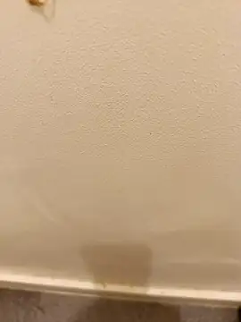 Snapshot of _Gabriela_5Live chatting on November 10, 2025, 5:07 pm Gabriela 5Live online show from November 10, 2025, 5:07 pm