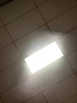 lexuslover687 online show from April 17, 2026, 7:11 am