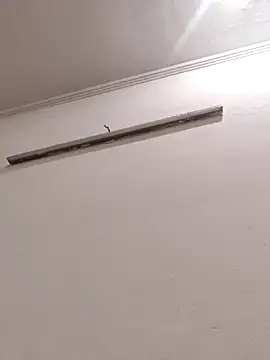 Anchal-8798 online show from January 8, 2026, 4:24 pm