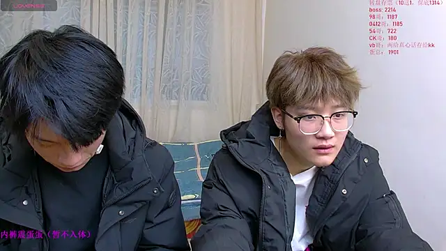 Snapshot of KK-cuteboy chatting on January 6, 2026, 10:08 am KK-cuteboy online show from January 6, 2026, 10:08 am