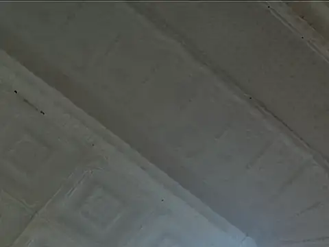 Snapshot of EsotericPaloma chatting on October 24, 2025, 7:13 pm EsotericPaloma online show from October 24, 2025, 7:13 pm