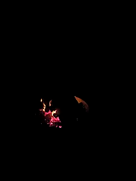 Floridaboy863 online show from February 5, 2026, 3:35 am