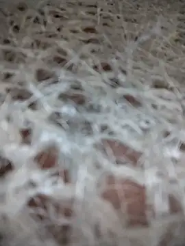 azul vera online show from December 1, 2025, 12:00 am