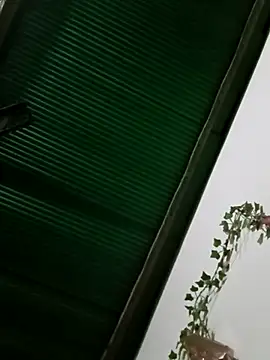 Jessica-03 online show from November 18, 2025, 9:40 pm