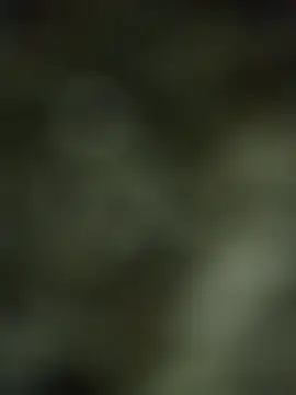 Parjoo1234 online show from October 12, 2025, 2:29 pm