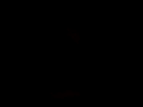 YoussefAl-Fahl online show from October 15, 2025, 10:18 pm