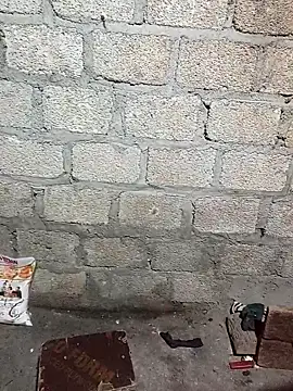 siusiu-00 online show from November 13, 2025, 10:52 am