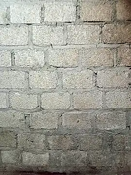 siusiu-00 online show from March 11, 2026, 10:42 am