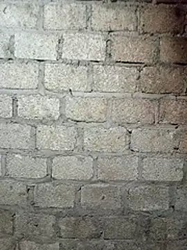 siusiu-00 online show from March 12, 2026, 1:59 pm