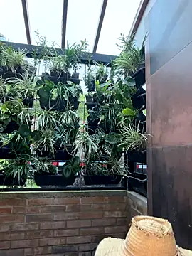 Snapshot of Rashel_Frost_ chatting on November 23, 2025, 6:51 pm Rashel Frost online show from November 23, 2025, 6:51 pm