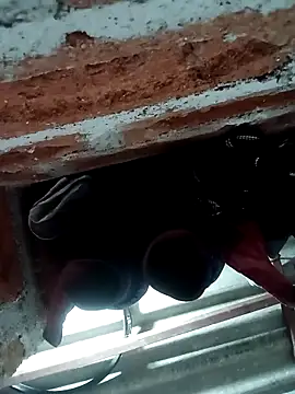 Rajni chauhan online show from November 5, 2025, 5:38 pm