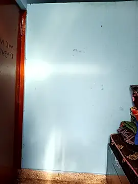 Deepa telugu online show from April 17, 2026, 10:40 am