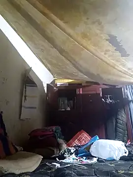 Cogelonregio online show from April 2, 2026, 3:02 am