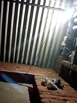 M-MAYA online show from February 19, 2026, 4:48 pm