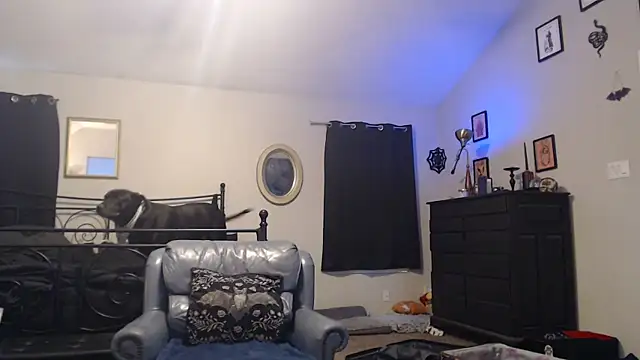 ImKatMeow online show from February 16, 2026, 6:50 pm