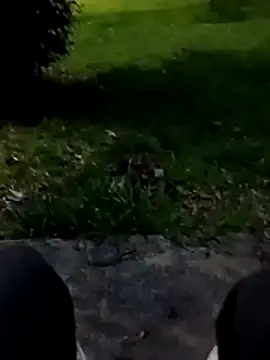 roludao fun online show from January 9, 2026, 10:17 pm