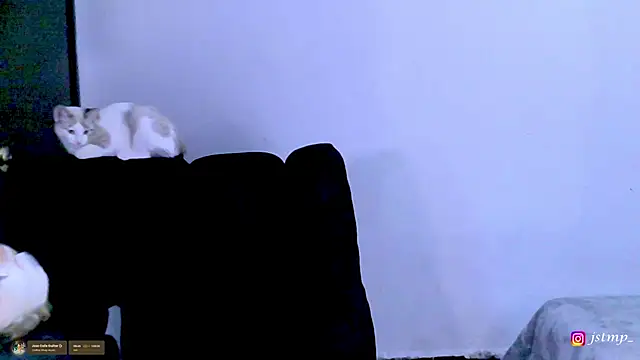 jhon mendoza  online show from November 24, 2025, 3:06 am