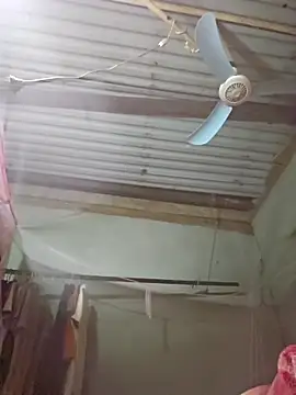 Snapshot of Squirrel-Pear chatting on November 19, 2025, 2:39 pm Squirrel-Pear online show from November 19, 2025, 2:39 pm