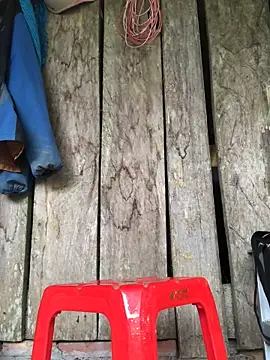 Kylie beem online show from March 15, 2026, 6:20 am