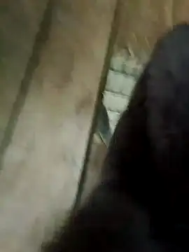 Kylie beem online show from February 3, 2026, 8:08 am