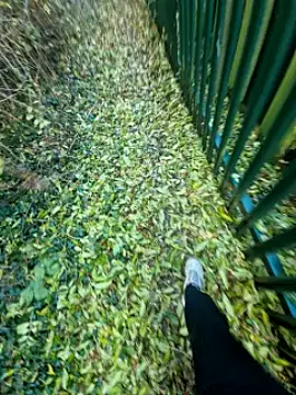 Snapshot of bbyxklaus chatting on October 31, 2025, 3:19 pm bbyxklaus online show from October 31, 2025, 3:19 pm