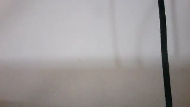 NATTYDOLL74 online show from February 4, 2026, 9:43 pm