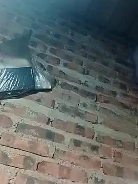 suka-bibi online show from December 23, 2025, 12:00 am