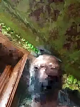 Felicity-204 online show from October 19, 2025, 5:05 pm