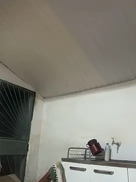 wellingtonmds online show from December 2, 2025, 2:01 am