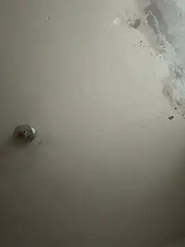 wellingtonmds online show from November 1, 2025, 1:12 am