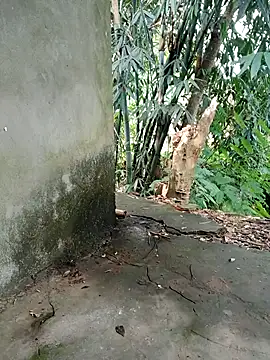 Snapshot of Bear_bear0 chatting on November 8, 2025, 1:53 am Bear bear0 online show from November 8, 2025, 1:53 am