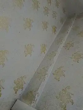 VendedPants online show from December 16, 2025, 7:56 am