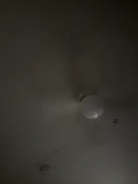 D13ON3L online show from November 8, 2025, 8:07 am