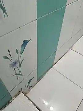 naveen 3222 online show from October 29, 2025, 8:13 am