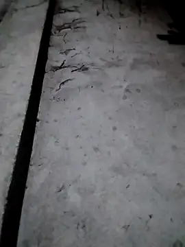 Snapshot of rickkis2k chatting on December 17, 2025, 9:42 pm rickkis2k online show from December 17, 2025, 9:42 pm