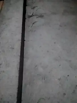 Snapshot of rickkis2k chatting on December 16, 2025, 10:14 pm rickkis2k online show from December 16, 2025, 10:14 pm